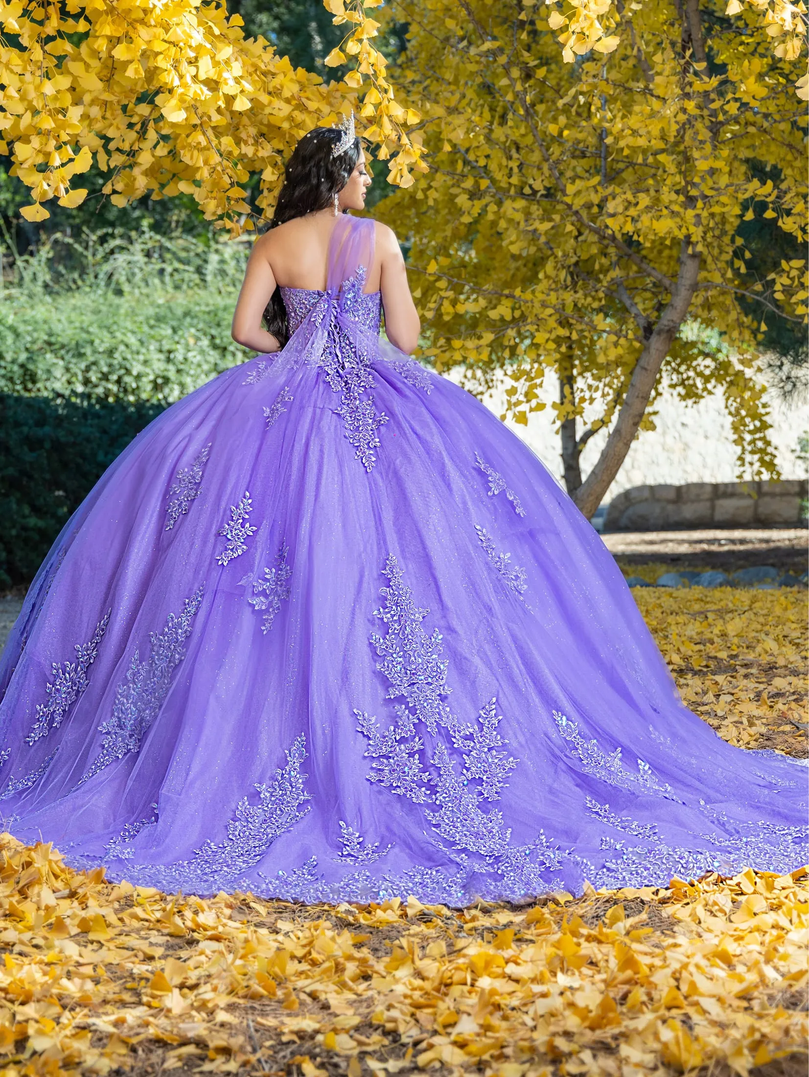 Applique Convertible Ball Gown by LizLuo Quince 26091