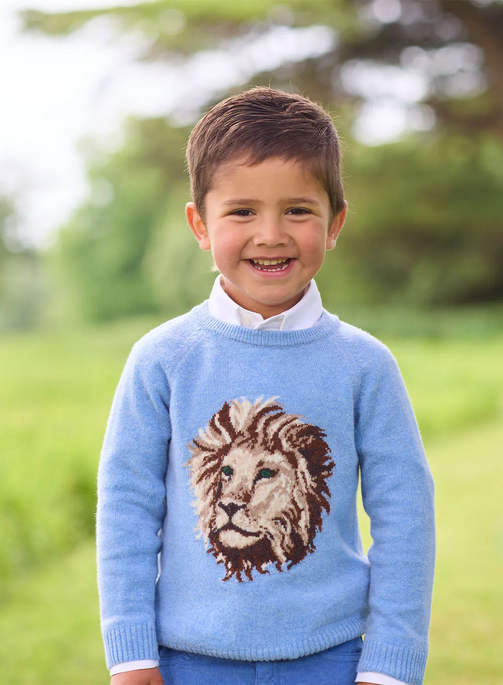 Augustus Lion Jumper